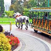 Stanley Park Horse-Drawn Topurs